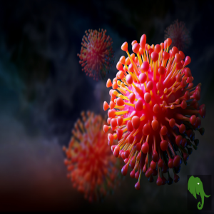 Navigating Safety and Scams During a Pandemic