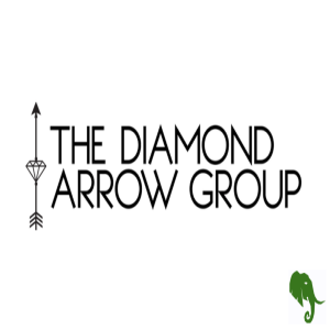 Situational Awareness and More with The Diamond Arrow Group