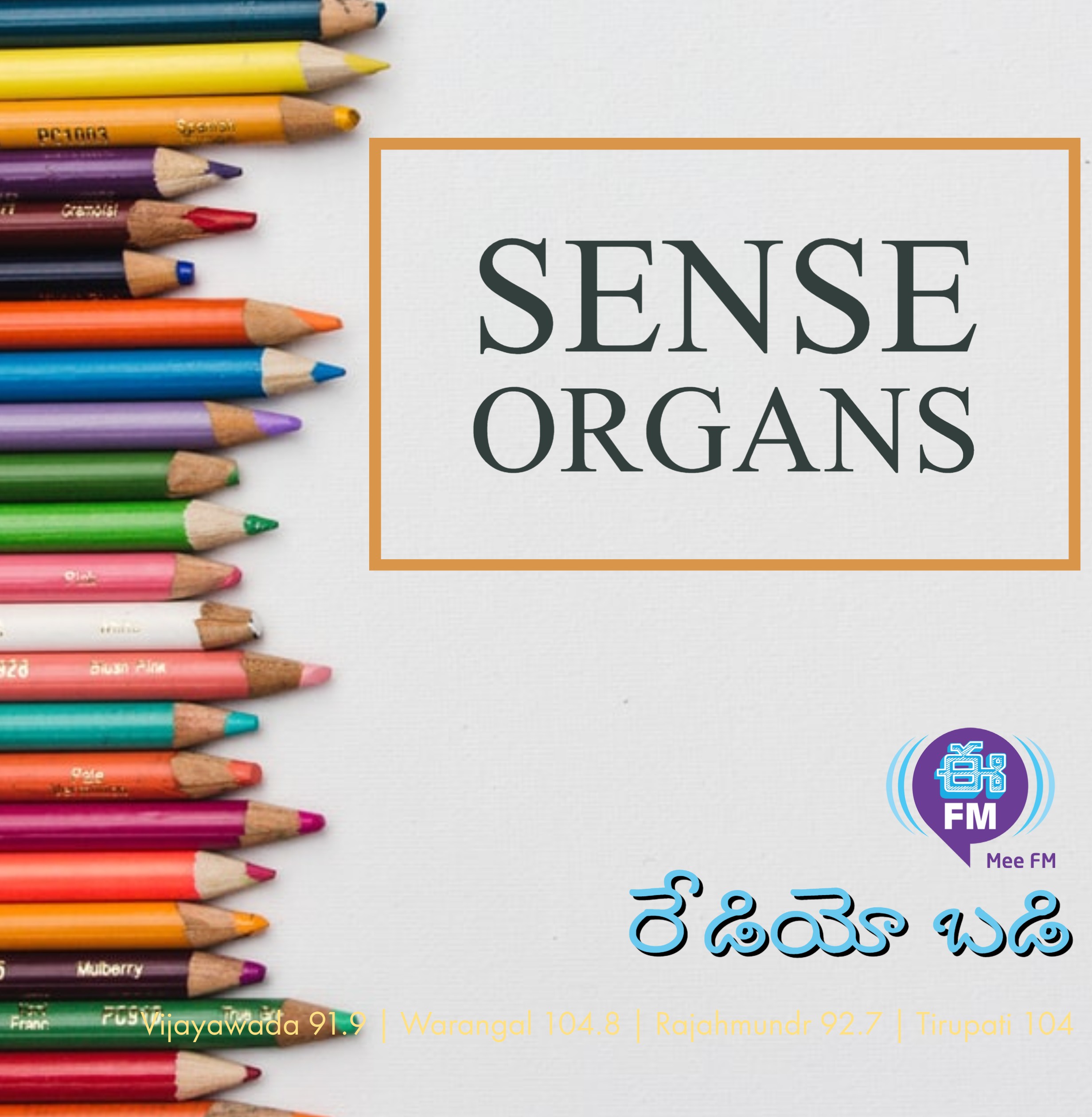 Sense organs | Biology | Radio badi | Online classes | E FM | Eenadu