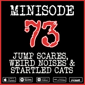 Minisode 73: Jump Scares, Weird Noises & Startled Cats