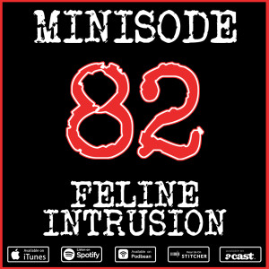 Minisode 82: Feline Intrusion