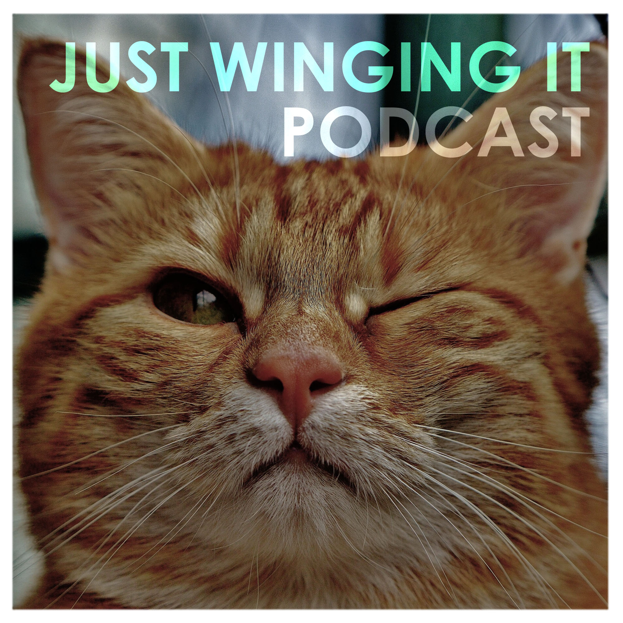Just Winging It
