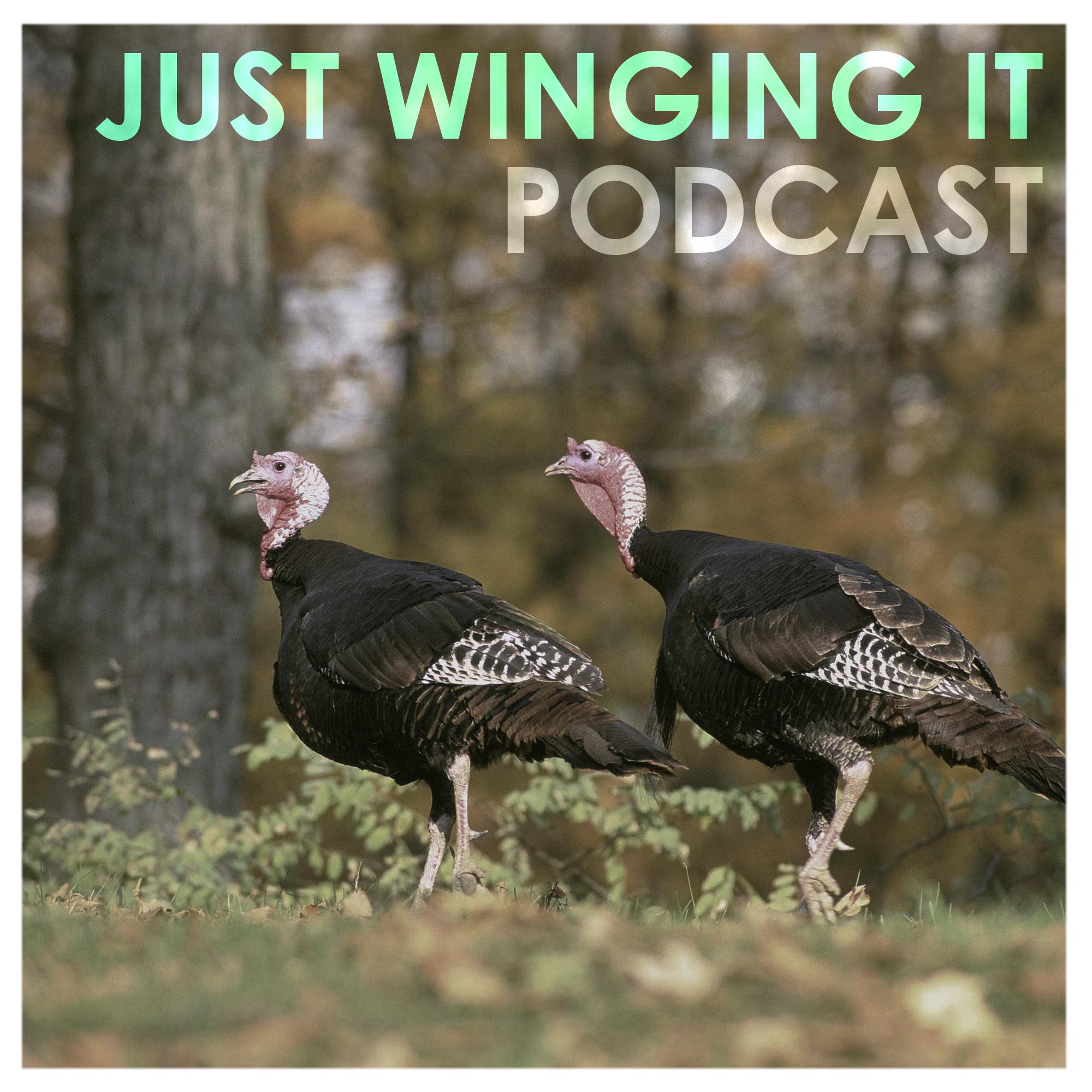 Just Winging It