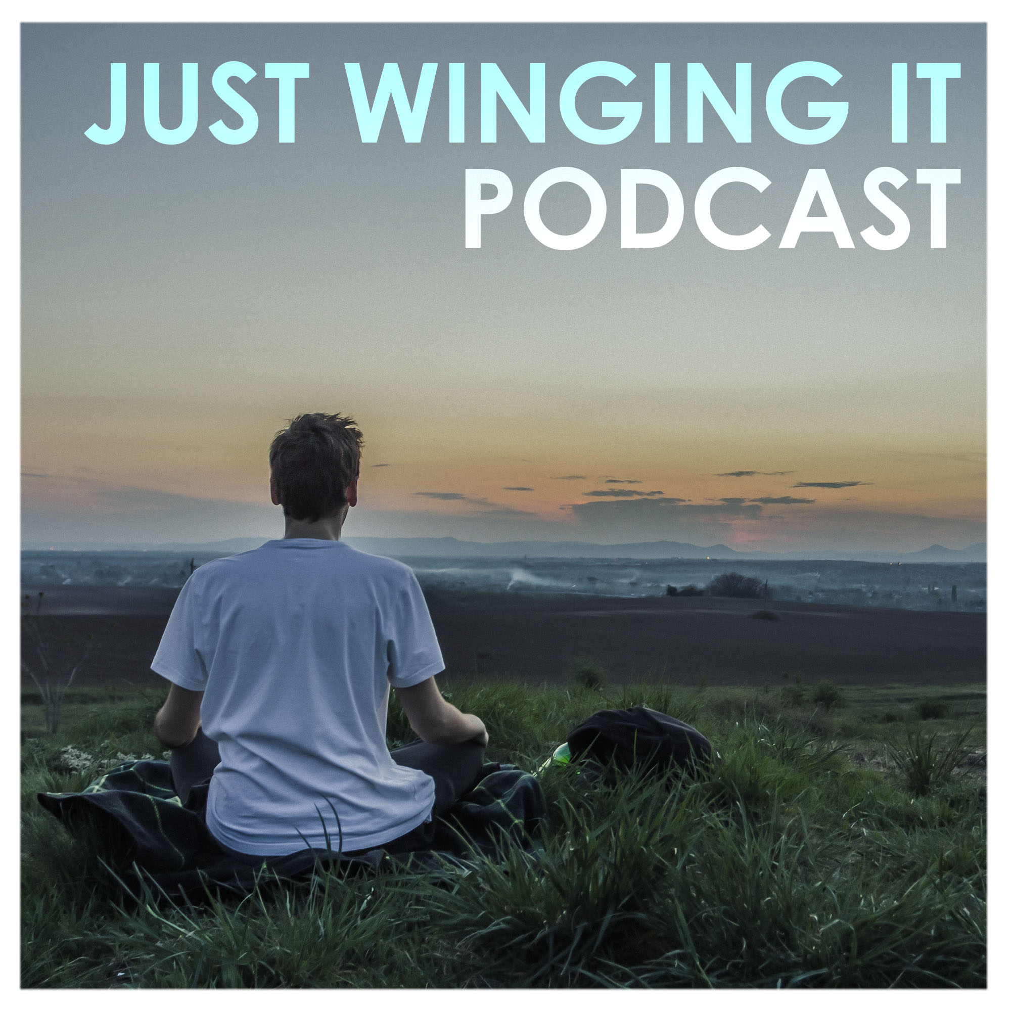Just Winging It