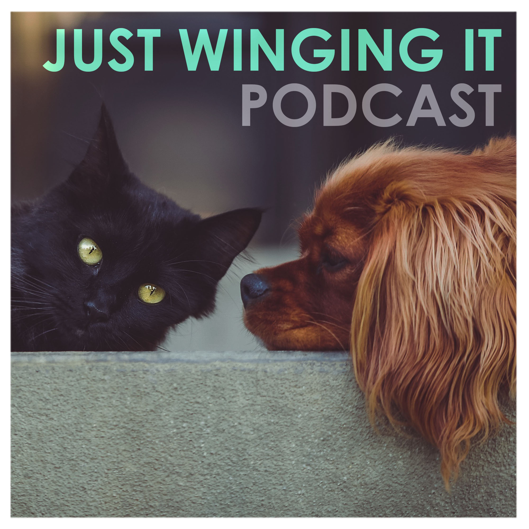Just Winging It