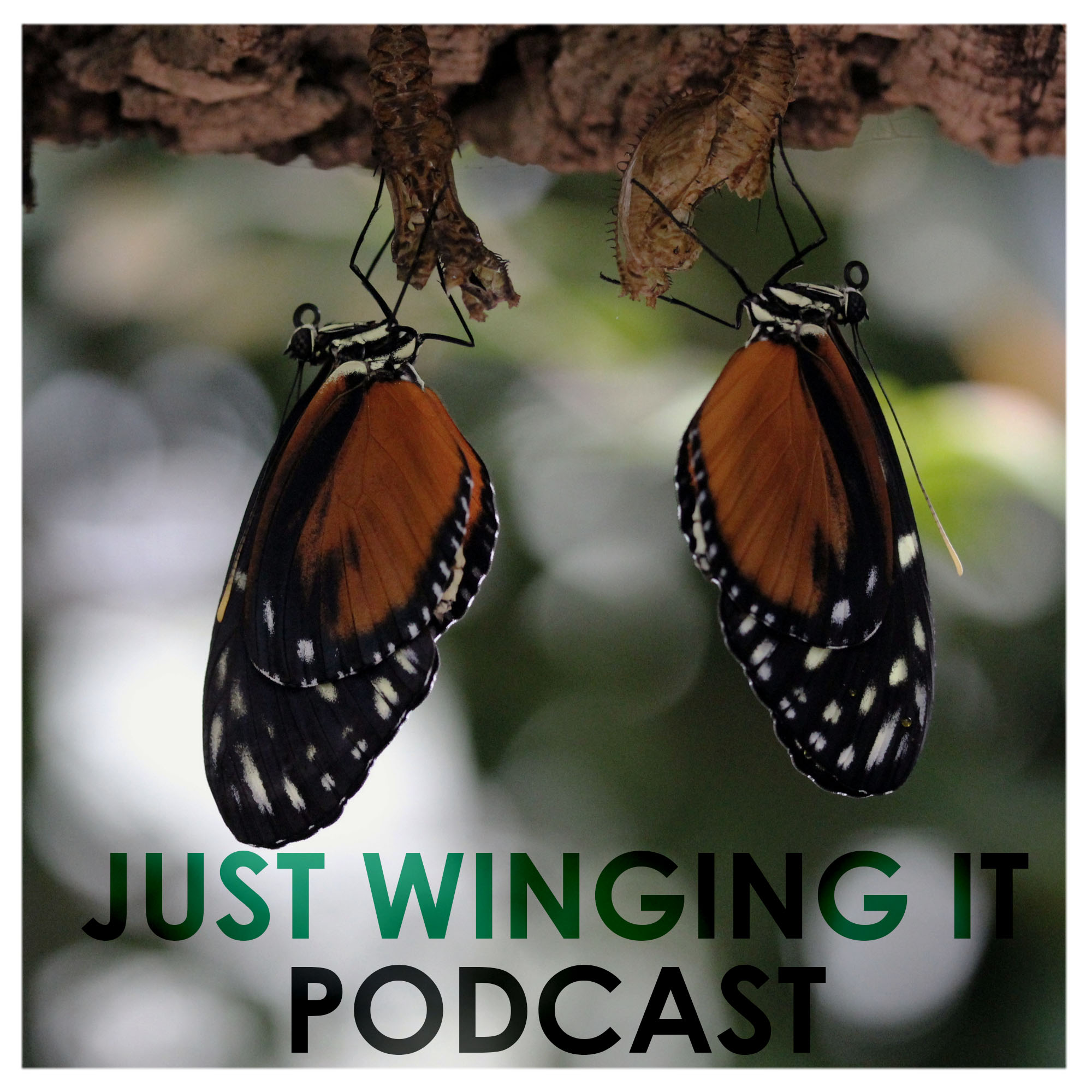 Just Winging It