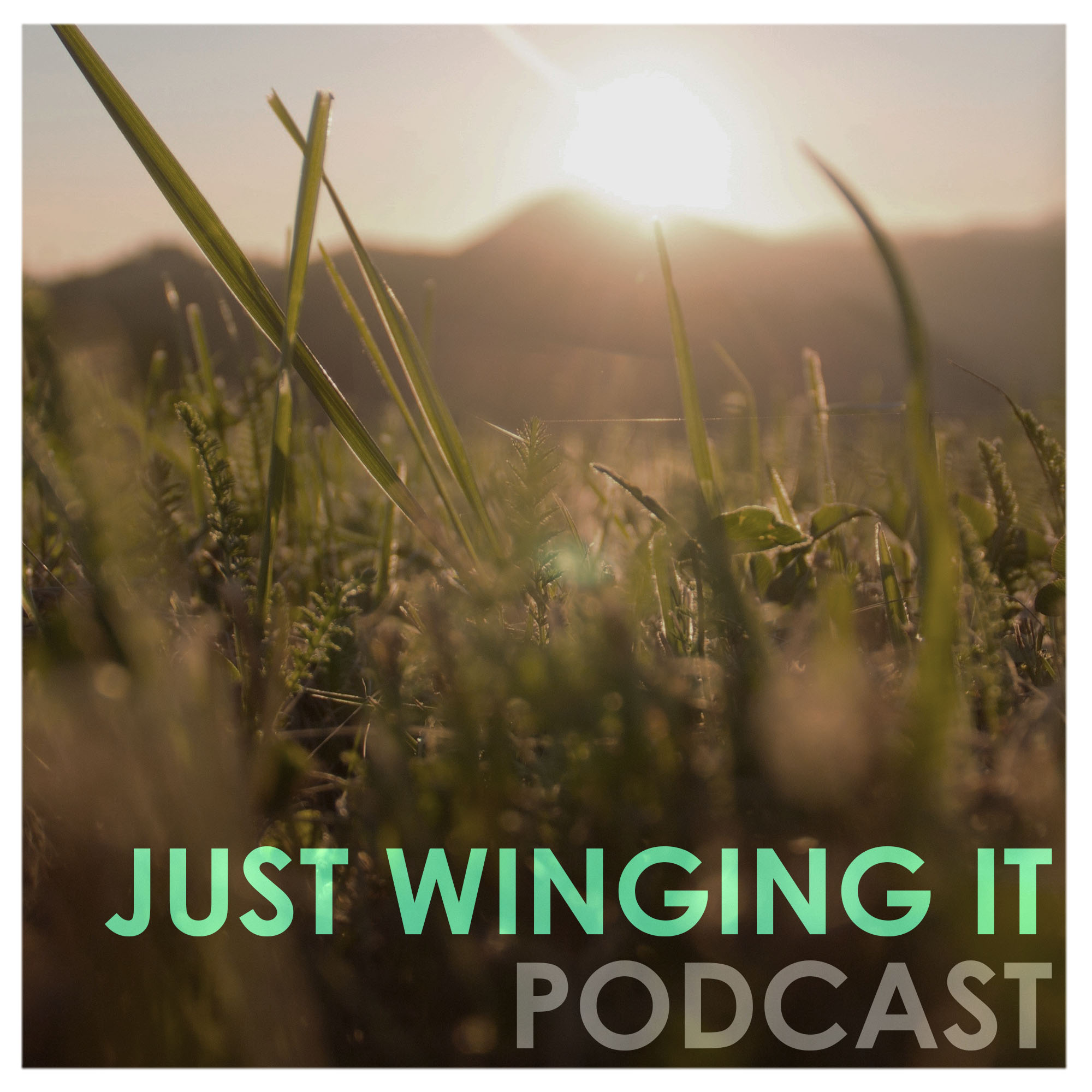 Just Winging It