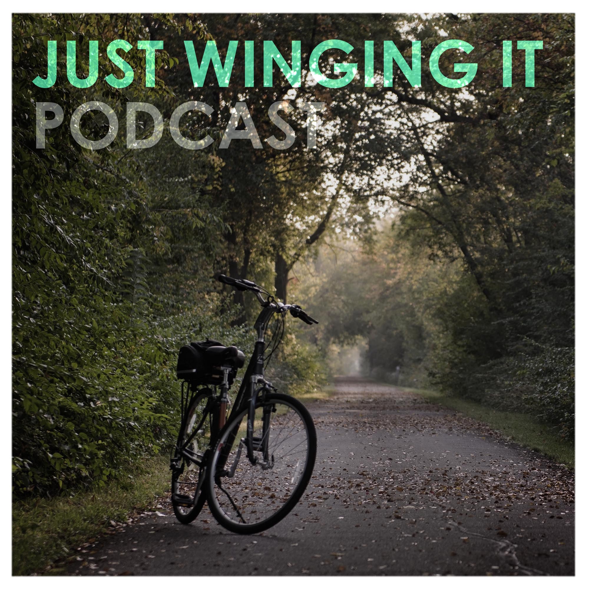 Just Winging It