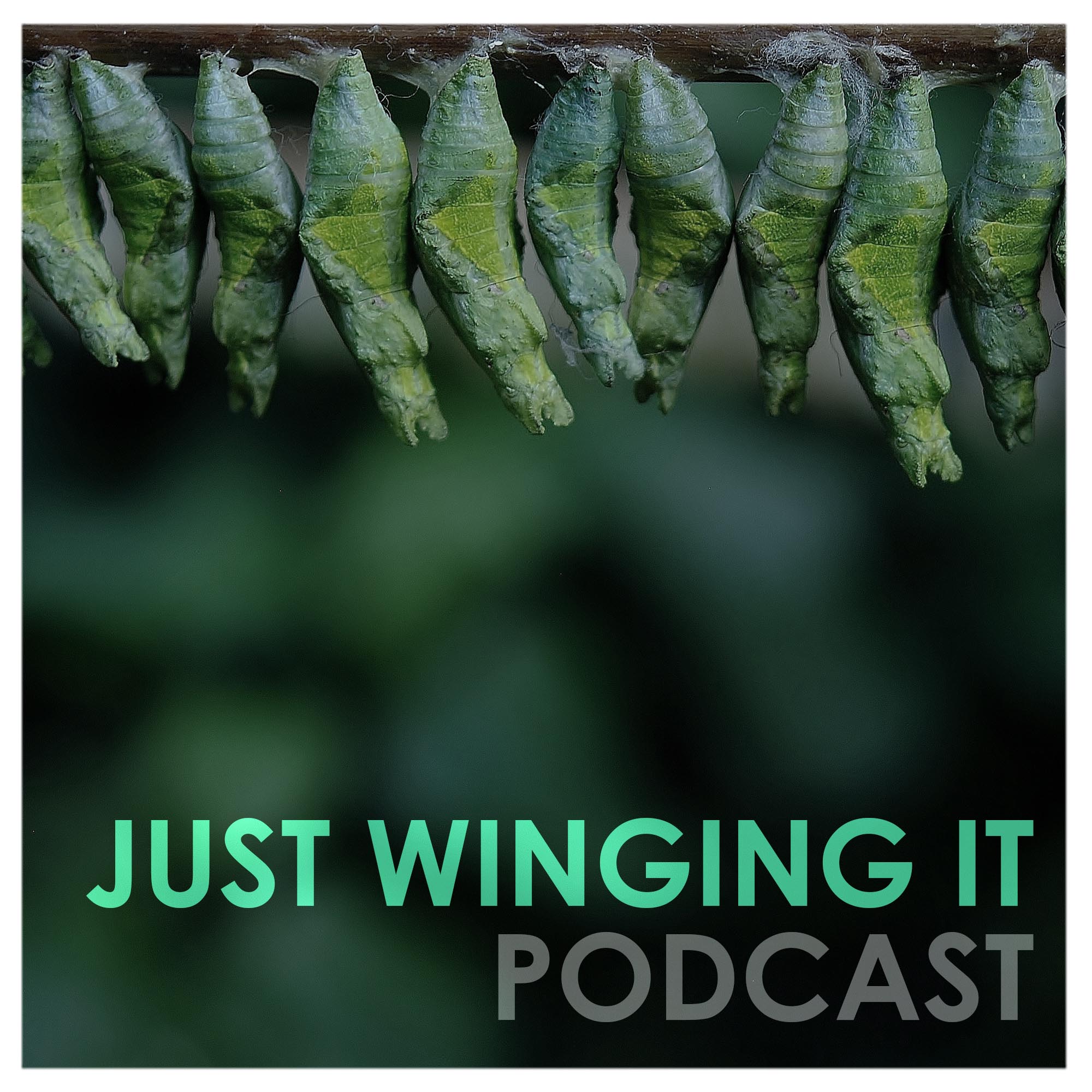 Just Winging It