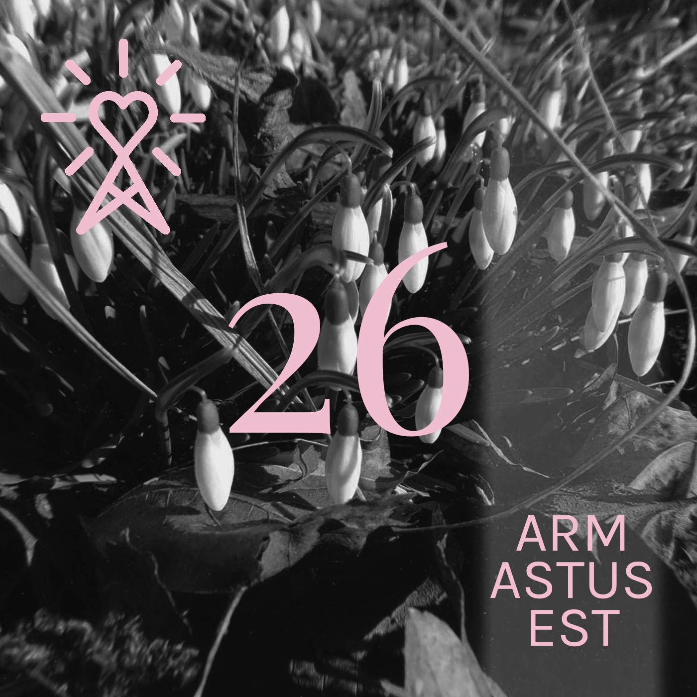 Armastusest