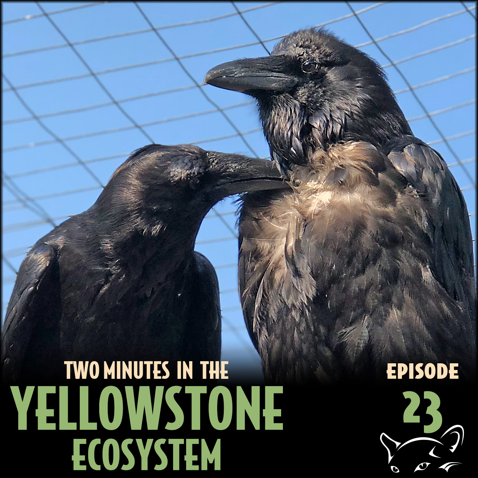 Episode 23: Quoth the Ravens