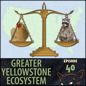Episode 40: Wildlife Law and Accreditation