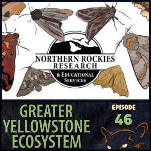Episode 46: Northern Rockies Research and Educational Services