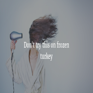 Blow Dry Turkey 