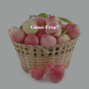 I Have A Beef with Cosmic Crisp Apples