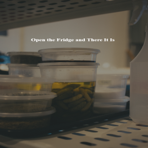 Tupperware's Five Stages of Grief