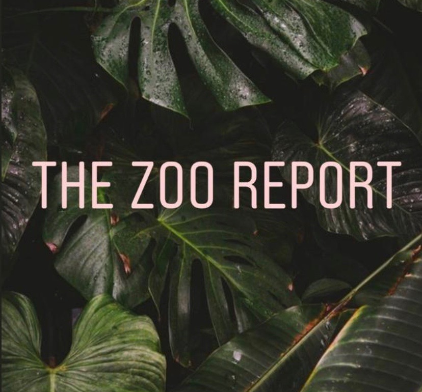 The Zoo Report: Jonathan Kermah on being co-editor in chief of Amherst Wire