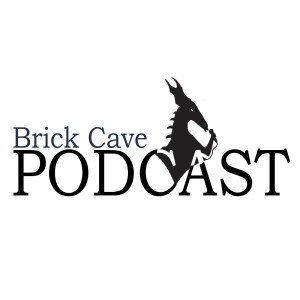 The Brick Cave Podcast with Author Sharon Skinner