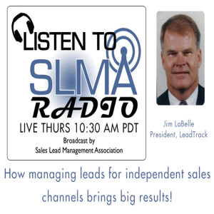 How Managing Leads for Independent sales channels brings big results