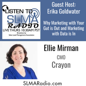 Why Marketing with Your Gut is Out and Marketing with Data is In – Ellie Mirman