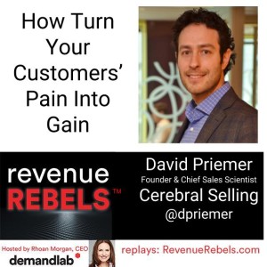 How to Turn Your Customer's Pain Into Gain