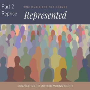 Voting Rights Compilation Reprise pt 2