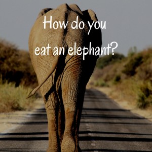How Do You Eat An Elephant?