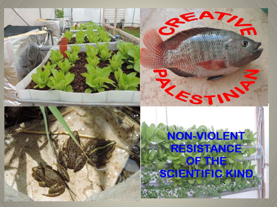 Creative Palestinian Non-Violent Resistance of the Scientific Kind