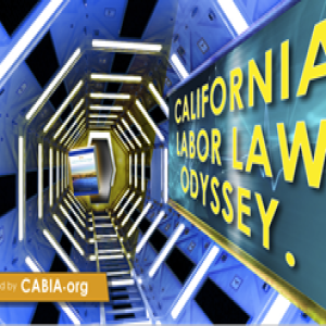 001-Private Attorney General Act (PAGA) and the "sue your boss act"