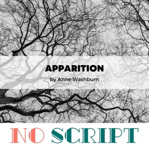 "Apparition" by Anne Washburn | S14.E11