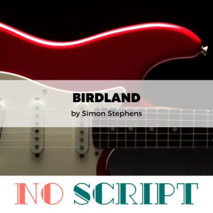 "Birdland" by Simon Stephens | S13.E03