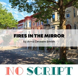 S10.E17 | ”Fires in the Mirror” by Anna Deavere Smith