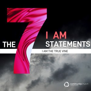 The 7 I AM Statements: I Am the True Vine