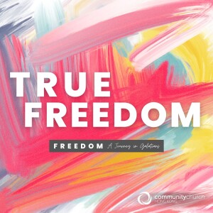 Freedom: True Freedom