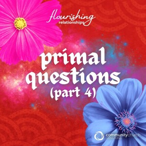 Flourishing Relationships: Primal Questions (Part 4)