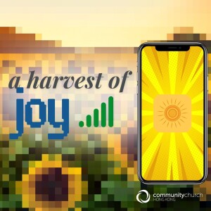 Discipleship in an Instant World: A Harvest of Joy