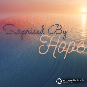 Surprised By: Hope