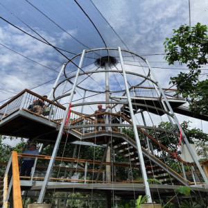 Wildlife Habitat At Port Douglas Has A New Attraction To Take You To Great Heights - FAB FM Was At The Opening