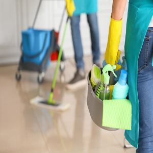 How Domestic Cleaning Services Simplify Your Life and Keep Home Spotless?