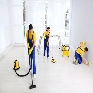 What Are the Services You Can Expect From Professional House Cleaners?