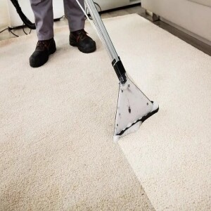 Benefits to Hire Carpet Cleaning Services to Declutter Harmful Germs