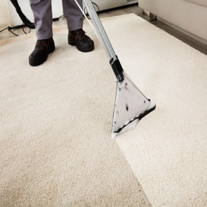3 Things You Must Consider When Choosing a Carpet Cleaning Company