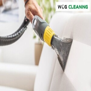 What Are the Benefits of Regular Carpet Cleaning for Businesses?