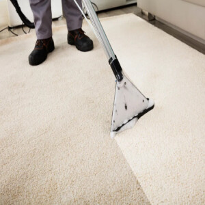 Why Should You Invest In Professional Carpet Cleaning Before Christmas?