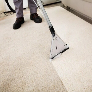 Why You Must Focus on Your Children’s Room Carpet Cleaning?