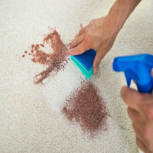How To Safeguard Your Carpets From Stains?