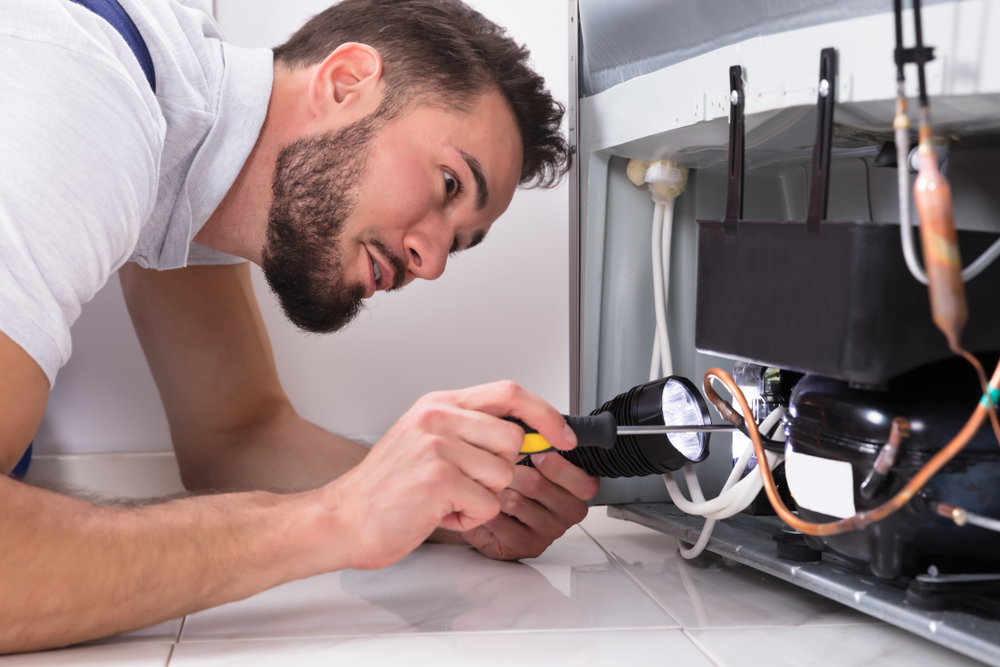 Getting the Reliable Estimate for Fridge Repairs