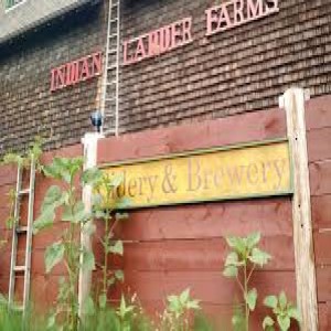 Episode 29 - Scott Veltman of Indian Ladder Farms Cidery & Brewery