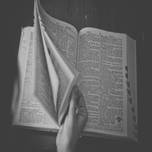 Cracking Open The Financial Dictionary