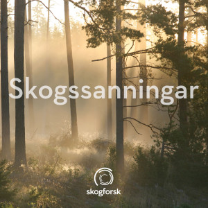 Skogssanningar – älgen och dess matvanor